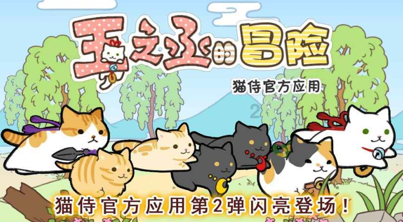 逃离违建房屋7